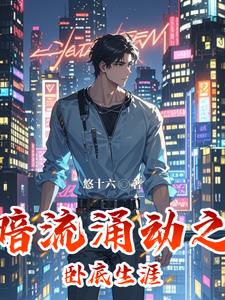 暗流涌动之卧底生涯高磊