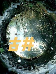 古井+后续