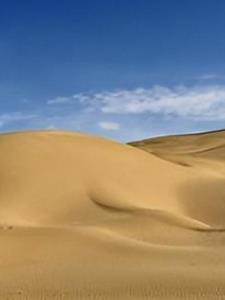 我确信我是不死之人(老是断线)阅读