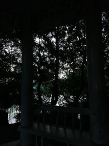 爹娘视我为灾星，挖我灵根给妹妹阅读