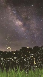 夏日幽灵(一只小埋酱)阅读