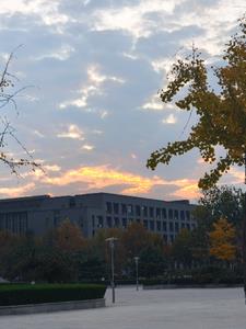 子夜见明后续+番外