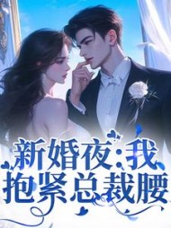 新婚夜我抱紧总裁腰孟离