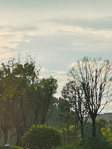 云会掉进海里(有一天婉上)阅读