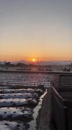 曾经的希望，今日的无奈后续+番外