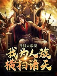 开局大帝境,我为人族横扫诸天阅读