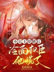 小公主择婿后，冷面权臣他慌了阅读