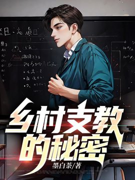 林斌张珊正版小说