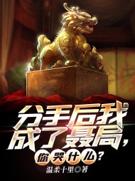 分手后我成了聂局,你哭什么