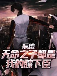 系统天命之子都是我的膝下臣秦江