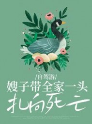 自驾游嫂子带全家一头扎向死亡杨杰