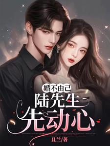 婚不由己陆先生先动心阅读
