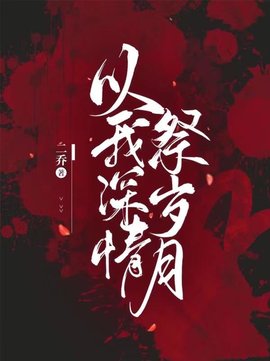 以我深情祭岁月沈念