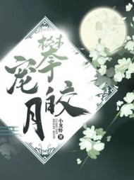 攀宠皎月阅读