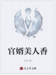 官婿美人香刘志中阅读