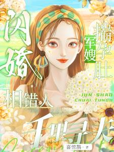 闪婚相错人，军嫂揣孕肚千里寻夫阅读