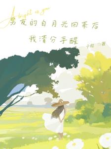 男友的白月光回来后，我清醒分手后续+番外