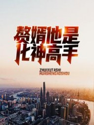 赘婿他是化神高手刘峰阅读