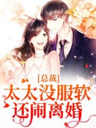 总裁,太太没服软还闹离婚阅读