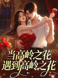 主角是叶莺严赴的