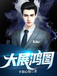 大展鸿图张东峰完整版