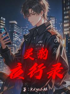 灵韵夜行录林羽