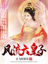 风流六皇子李流星阅读