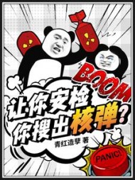让你安检,你搜出核弹苏野