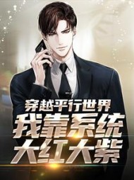 穿越平行世界，我靠系统大红大紫