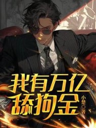 我有万亿舔狗金林风