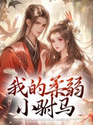 我的柔弱小驸马阅读