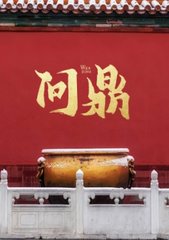 问鼎沈青云周雪阅读