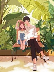 难以奢求的温柔相待顾倾城沈从安