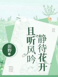 且听风吟,静等花开