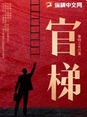 官梯完整版阅读