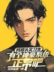 猎头实习生，有个神豪系统正常吧阅读