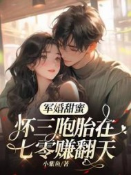 军婚甜蜜，怀三胞胎在七零赚翻天阅读