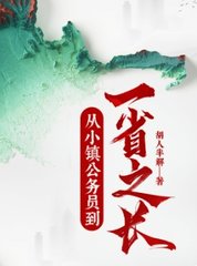从小镇公务员到一省之长完结版