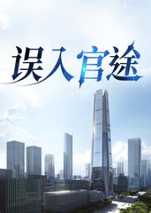 误入官途林水根于淑君阅读