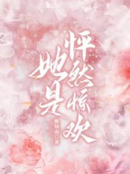 她是，怦然惊欢阅读