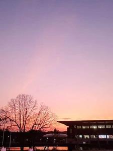 我在洪荒西部搞建设徐意