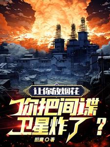 让你放烟花，你把间谍卫星炸了阅读