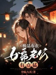 极品布衣，女帝老公有点猛阅读