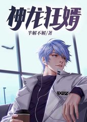 神龙狂婿陈东夏迎雪