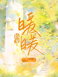 娇宠暖暖陈寅阅读