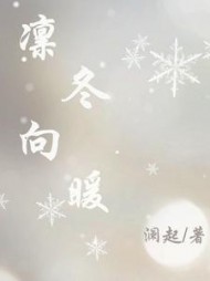 凛冬向暖阅读无弹窗
