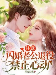 注意！闪婚老公退役，禁止心动星光月夜著