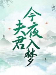 夫君今夜入梦柳月璃阅读