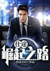 仕途崛起之路无弹窗阅读