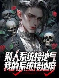 别人系统接地气我的系统接地府周望